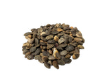 pinus ponderosa seeds
