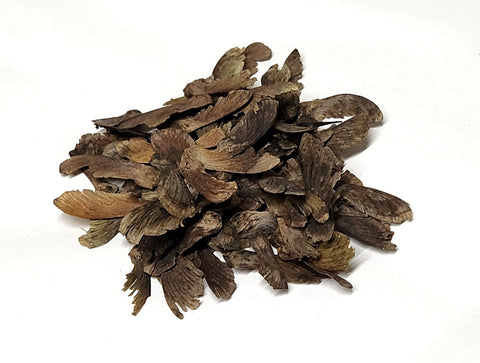 Tree seed - Japanese maple