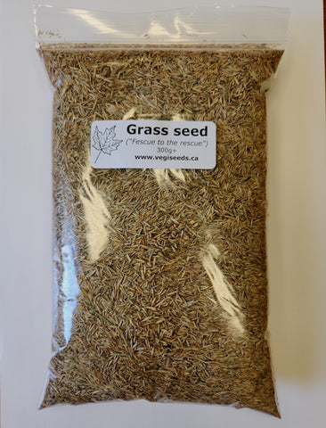 Grass Seed - Fescue to the Rescue