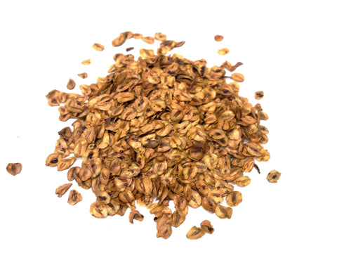 Tree seed - Dawn redwood