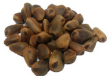 korean pine seeds