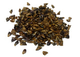 Tree seed - Balsam fir