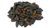 Tree seed - Gray pine