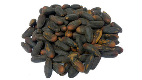 Tree seed - Gray pine