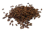 Tree seed - Eastern Hemlock
