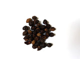 Tree seed - Chokecherry