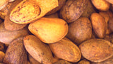 Tree seed - Ponderosa Pine