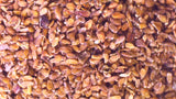 Tree seed - European aspen