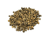 Tree seed - Red Osier Dogwood