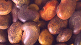 Tree seed - Black locust