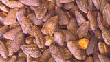 Tree seed - Jack pine