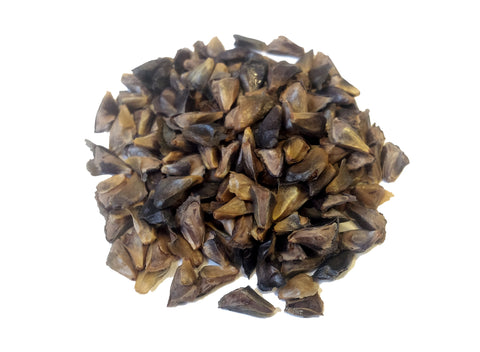 Tree seed - Canaan fir