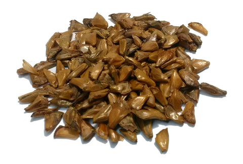 Tree seed - Subalpine fir