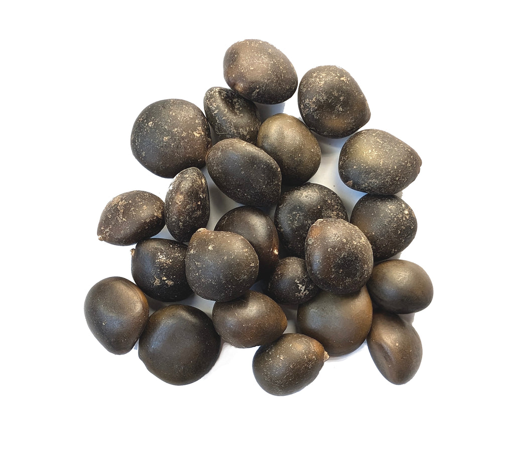 buy coffee plant seeds Tree seed