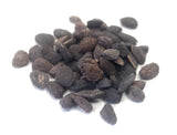 Tree seed - Monterey pine