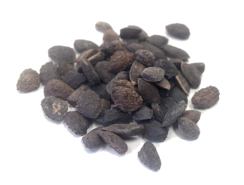 Tree seed - Monterey pine
