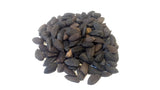 pinus attenuata x radiata seeds