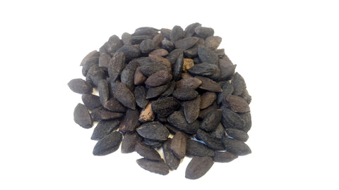 pinus attenuata x radiata seeds