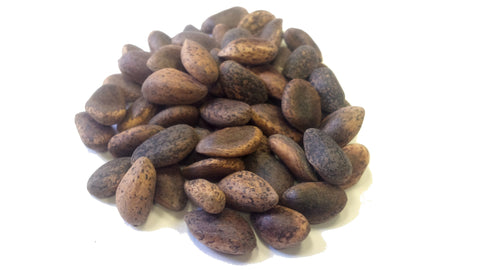 pinus jeffreyi seeds
