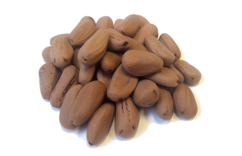 pinus pinea seeds italian stone pine