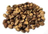 Tree seed - Lacebark pine