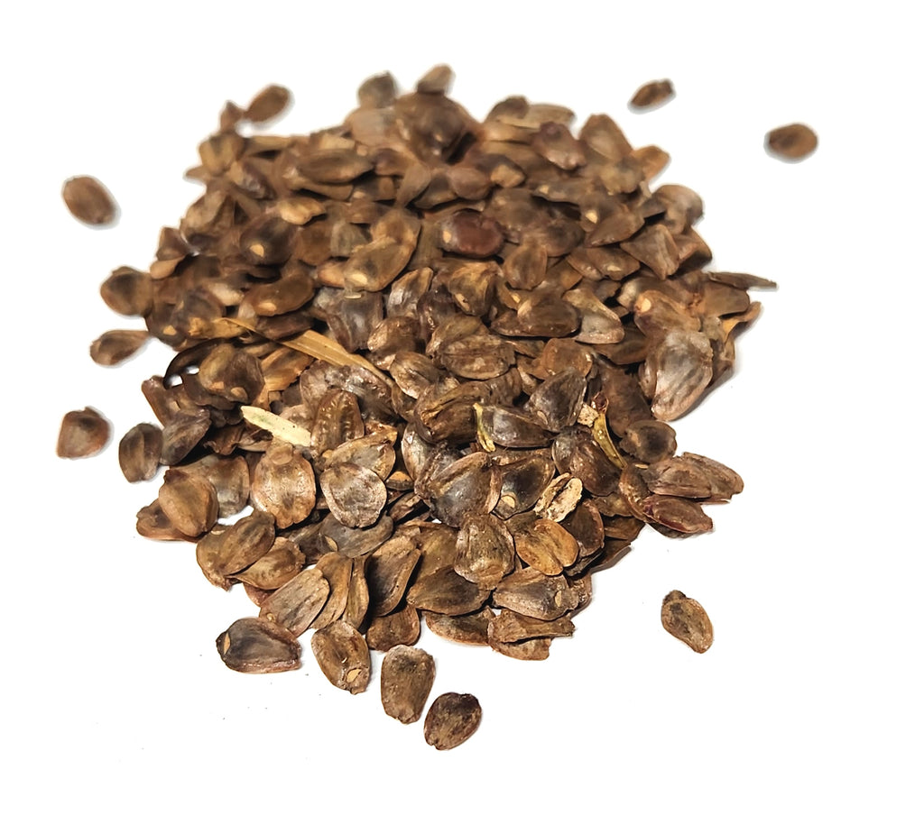 plant seeds from china Tree seed