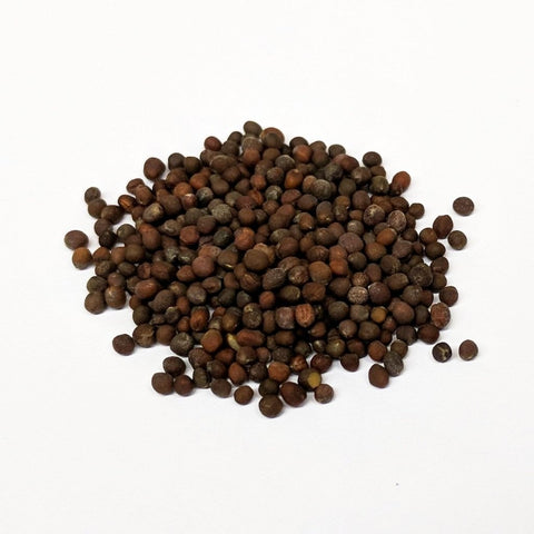 broccoli seeds