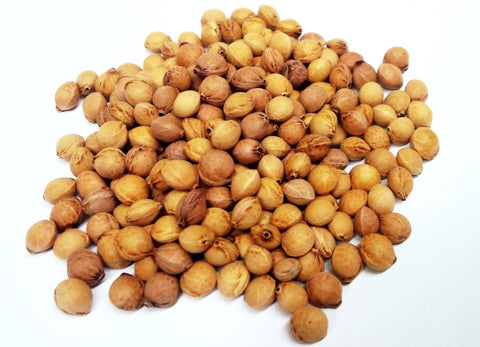 prunus serotina seeds