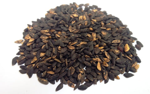 Pinus banksiana seeds