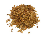 Tree seed - Chinese Coffin Tree
