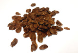 Tree seed - Japanese umbrella pine