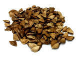 pseudotsuga menziesii seeds