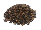 Tree seed - Sitka spruce