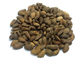 pinus aristata seeds rocky mountain bristlecone pine