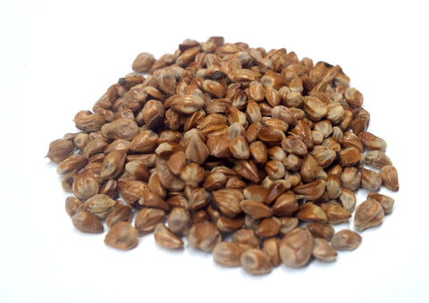 juniperus virginiana seeds