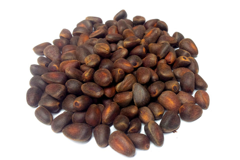 Tree seed - Siberian pine