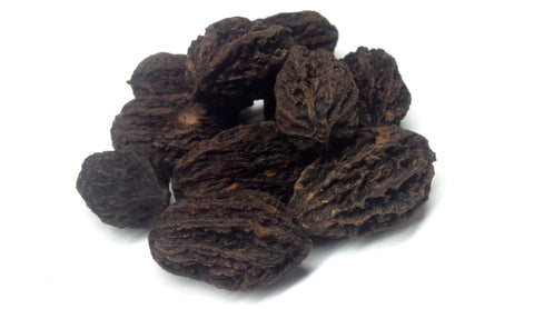 Tree seed - Butternut