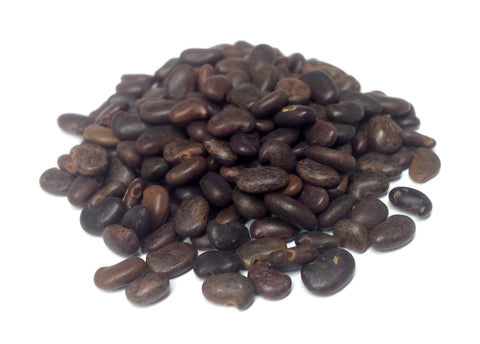 Tree seed - Black locust