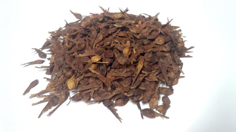 Tree seed - Mountain maple
