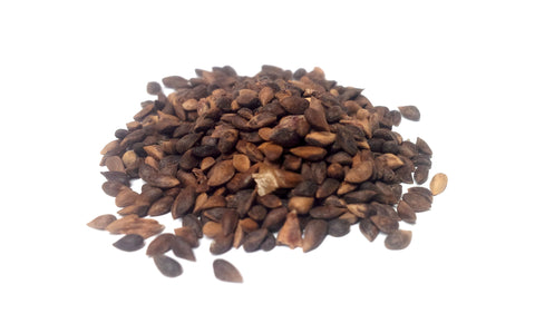 Tree seed - Red spruce