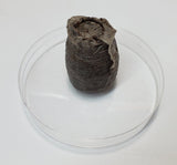 Peatmoss plugs - 10 pack