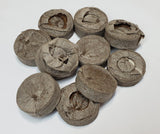 Peatmoss plugs - 10 pack