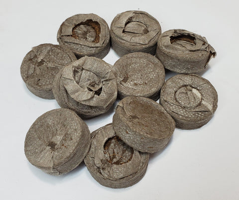 Peatmoss plugs - 10 pack