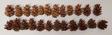 Decorative Cones