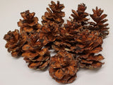 Decorative Cones