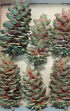 Decorative Cones