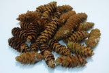 Decorative Cones