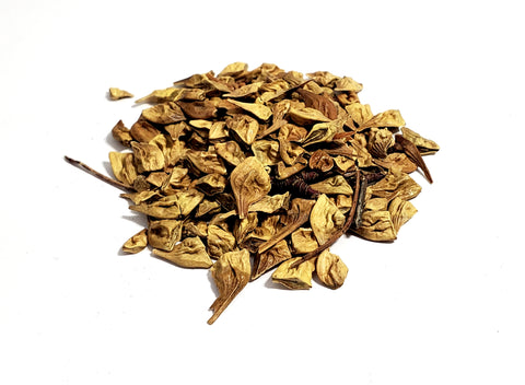 Tree seed - Rocky Mountain Maple