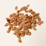 tomato seeds