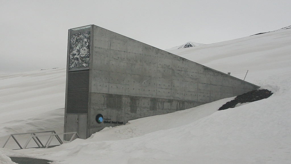Earths great seed vault